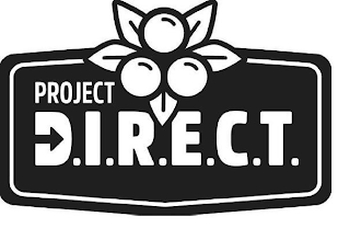 PROJECT DIRECT logo