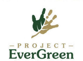 PROJECT EVERGREEN logo