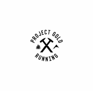 PROJECT GOLD RUNNING logo