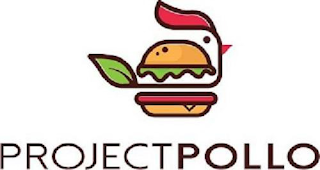 PROJECT POLLO logo