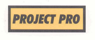 PROJECT PRO logo