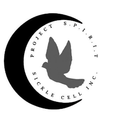 PROJECT S.P.I.R.I.T SICKLE CELL INC. logo
