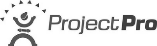 PROJECTPRO logo