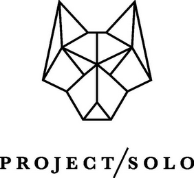 PROJECT/SOLO logo