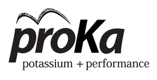 PROKA POTASSIUM + PERFORMANCE logo