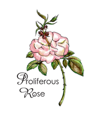 PROLIFEROUS ROSE logo