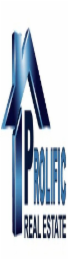 PROLIFIC REAL ESTATE logo