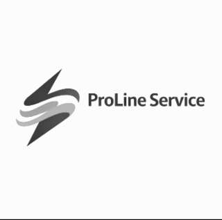 PROLINE SERVICE logo