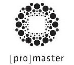 [PRO]MASTER logo