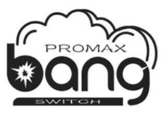 PROMAX BANG SWITCH logo