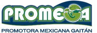PROMEGA PROMOTORA MEXICANA GAITÁN logo