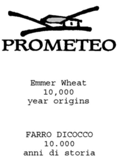 PROMETEO EMMER WHEAT 10,000 YEAR ORIGINS FARRO DICOCCO 10.000 ANNI DI STORIA logo