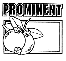 PROMINENT logo