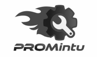 PROMINTU logo