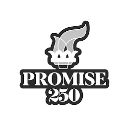 PROMISE 250 logo