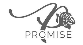 PROMISE P logo