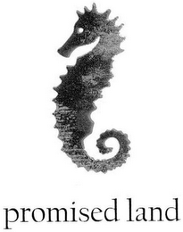 PROMISED LAND logo