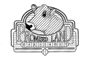 PROMISED LAND D-A-I-R-Y logo