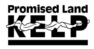 PROMISED LAND KELP logo