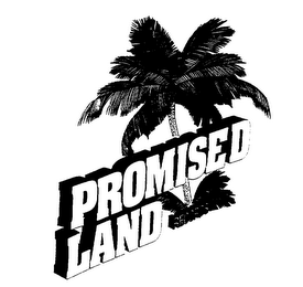PROMISED LAND RECORDS logo