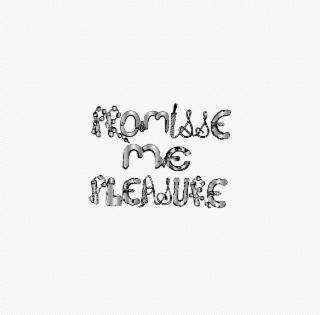 PROMISSE ME PLEASURE logo
