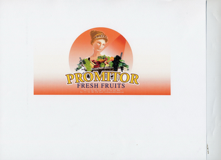 PROMITOR FRESH FRUITS logo