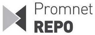 PROMNET REPO logo