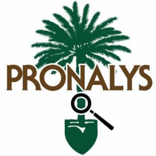 PRONALYS