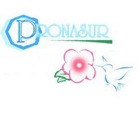 PRONASUR logo