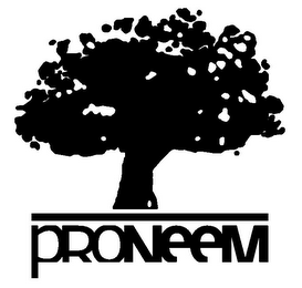 PRONEEM logo