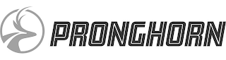 PRONGHORN logo