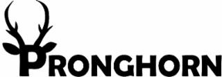 PRONGHORN logo