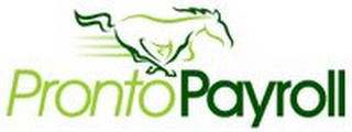 PRONTOPAYROLL logo