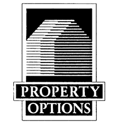 PROPERTY OPTIONS logo
