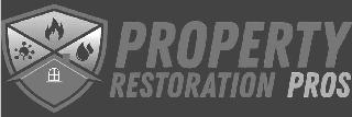 PROPERTY RESTORATION PROS logo