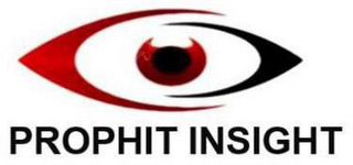 PROPHIT INSIGHT logo