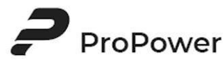PROPOWER logo