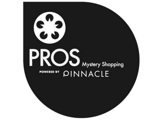PROS MYSTERY SHOPPING POWERED BY PINNACLE logo