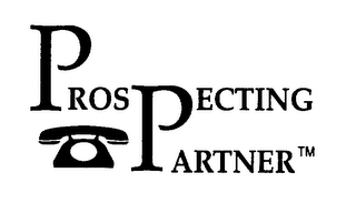PROS PECTING PARTNER logo