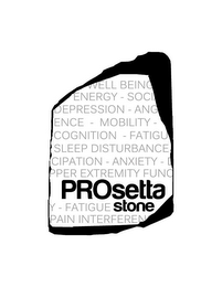 PROSETTA STONE WELL BEING ENERGY - SOCI DEPRESSION - ANG ENCE - MOBILITY - COGNITION - FATIGU SLEEP DISTURBANCE CIPATION - ANXIETY - PPER EXTREMITY FUNO Y - FATIGUE PAIN INTERFEREN logo