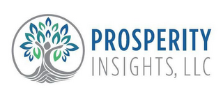 PROSPERITY INSIGHTS, LLC logo