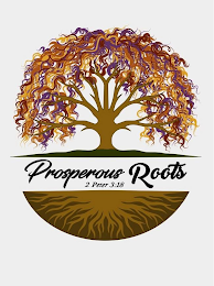 PROSPEROUS ROOTS 2 PETER 3:18 logo