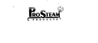PROSTEAM PRODUCTS logo