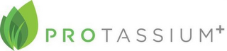 PROTASSIUM+ logo