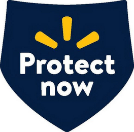 PROTECT NOW logo