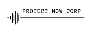 PROTECT NOW CORP logo