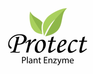 PROTECT PLANT ENZYME logo