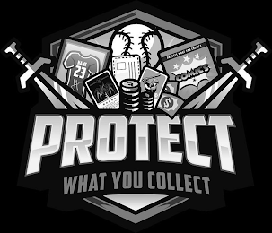 PROTECT WHAT YOU COLLECT logo