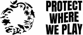 PROTECT WHERE WE PLAY logo