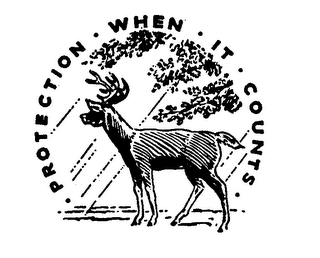 PROTECTION WHEN IT COUNTS logo